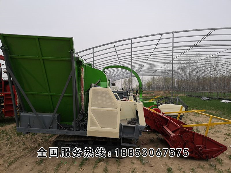 戳我试试
