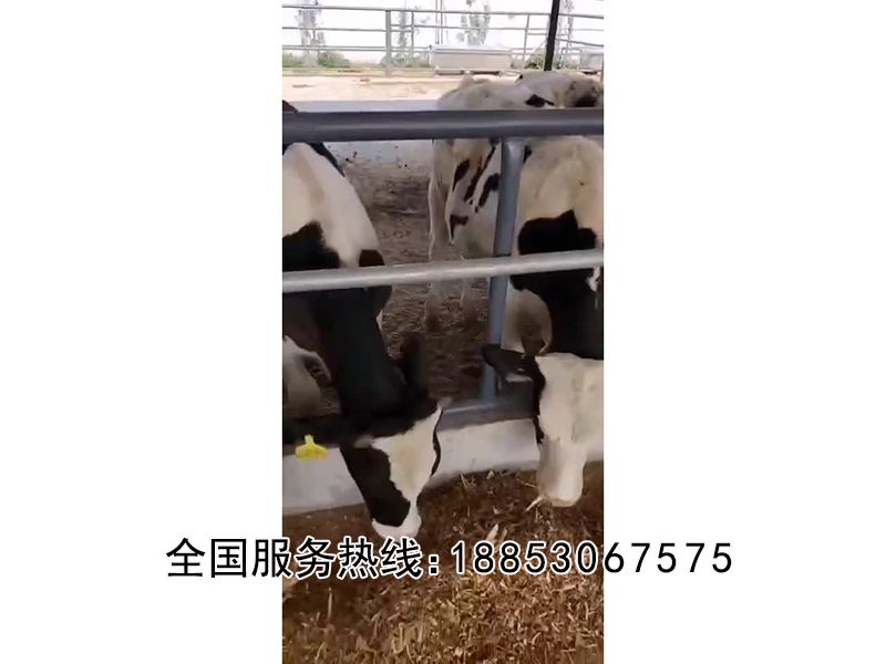 全日糧匯合飼料攪拌機(jī)實(shí)拍視頻